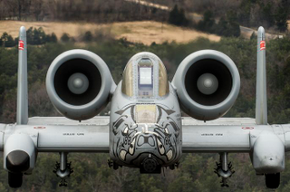 Illustration for article titled Republican Power Gain Could Save The A-10 Warthog's Bacon